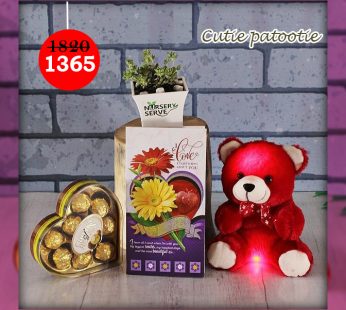 Cutie patootie Set with Musical Teddy- Express Your Love With Amazing Green Gift Set