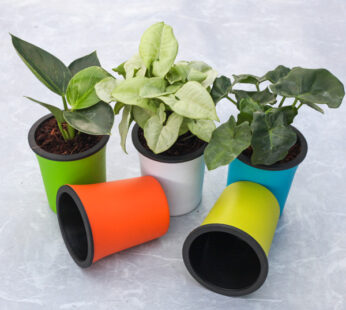 Exclusive Self Watering Mix Color (Set of 5) – Table Top Planter