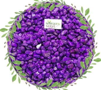 Purple Color Decorative Stone/pebbles for Garden/Lawn/Aquarium Decoration 1Kg
