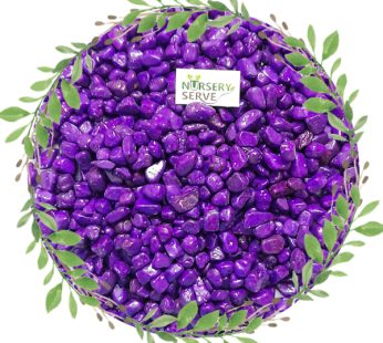 Purple Color Decorative Stone/pebbles for Garden/Lawn/Aquarium Decoration 500Gm