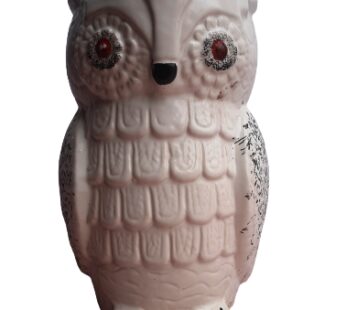 Red Eye White Owl Ceramic Pot