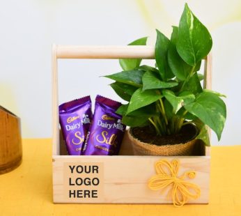 Set of 20, Best of Desk Green Money Plants – Corporate Gift