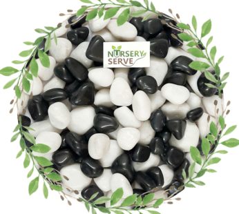 Super Glossy Black and White Mix Pebbles Marble Polished, Medium Size 1Kg