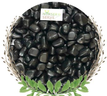Super Glossy Black Pebbles Granite Polished, Medium Size 1Kg
