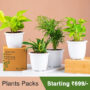 Trending Plants Pack