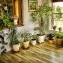 other indoor plants