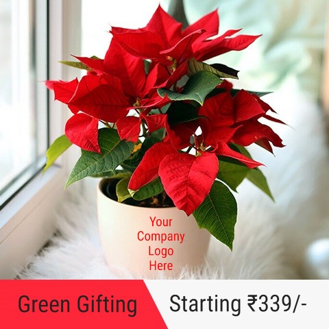 Green gifting